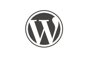 Wordpress SEO